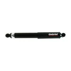 69654 Gabriel-MX
