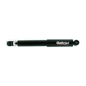 69334 Gabriel-MX