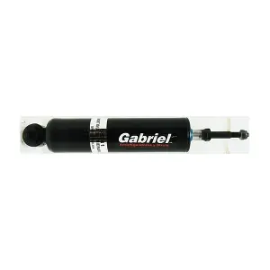 58341 Gabriel-MX