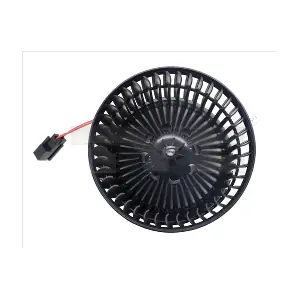 5240002 TYC