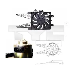 TYC 8090008