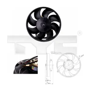 TYC 8020010