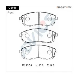 CS559 ADVICS