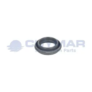 6002009 CUYMAR