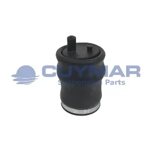 4202020 CUYMAR
