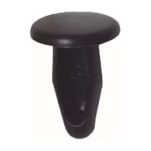 H00150609 AUWARTER