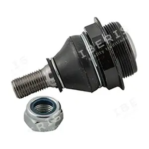 IBERIS IB117060