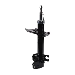 IB131003 IBERIS