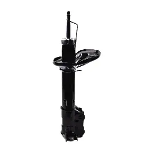 IB132002 IBERIS