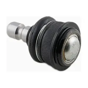 IB117032 IBERIS