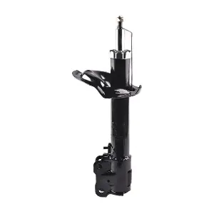 IB131045 IBERIS