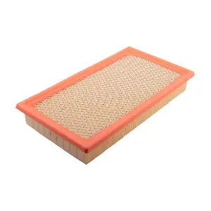 IB771043 IBERIS