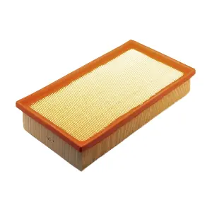 IB771114 IBERIS