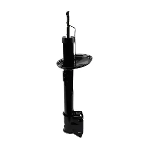 IB132005 IBERIS