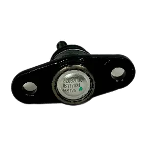 IB117031 IBERIS