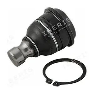 IB117041 IBERIS