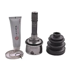 IB6132 IBERIS