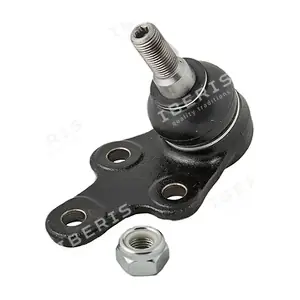 IBERIS IB117078