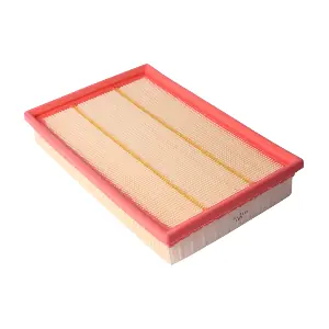 IB771169 IBERIS