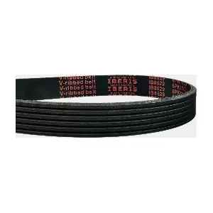 IB8529 IBERIS