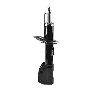 IB131043 IBERIS