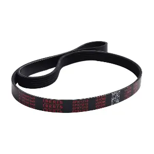 IBERIS 6PK1210