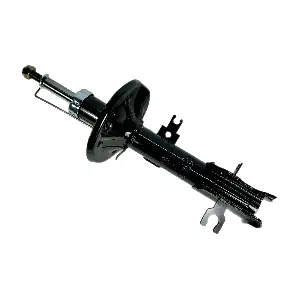 IBERIS IB131042