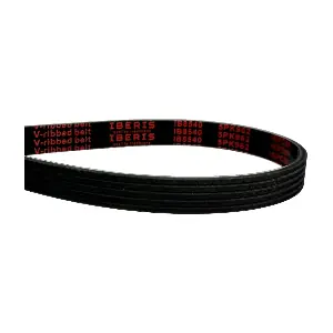 IBERIS 5PK962