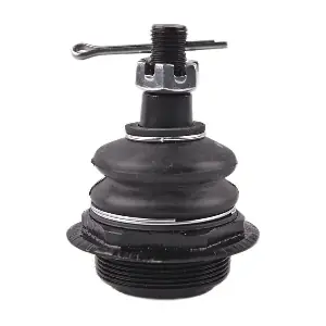 IB117111 IBERIS