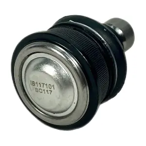 IB117101 IBERIS