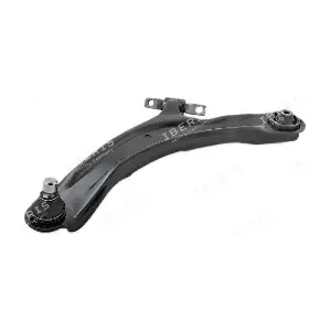 IBERIS IB115061