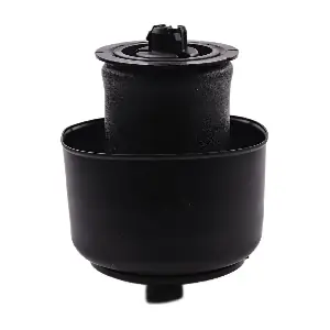 IB133003 IBERIS