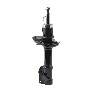 IBERIS IB131068