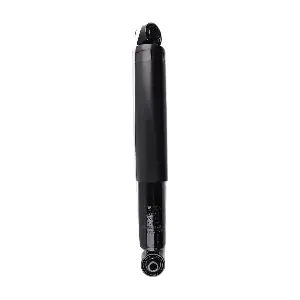 IBERIS IB132021