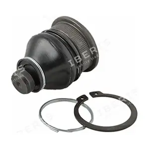 IBERIS IB117080