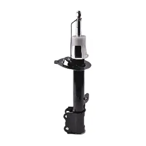 IBERIS IB132003