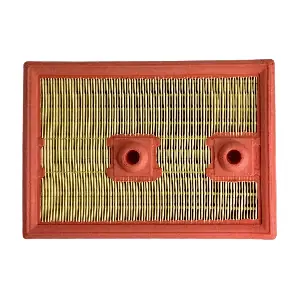 IB771134 IBERIS