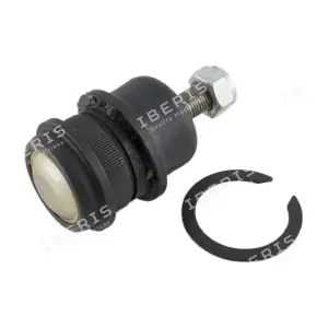 IBERIS IB117036