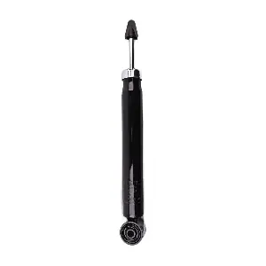 IBERIS IB132020
