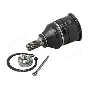 IBERIS IB117057