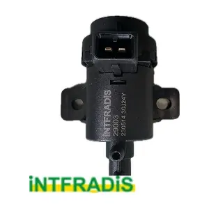 29003 INTFRADIS