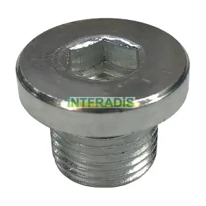 304 INTFRADIS