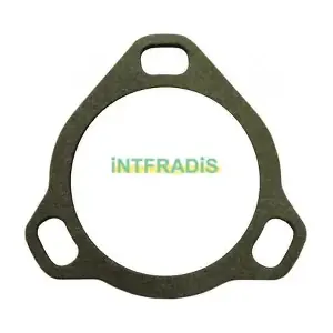 10821 INTFRADIS
