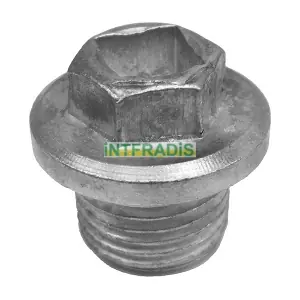 INTFRADIS 293