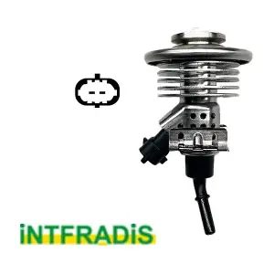 10729 INTFRADIS