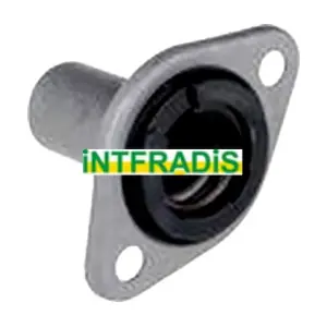 INTFRADIS 2452
