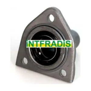 INTFRADIS 2450