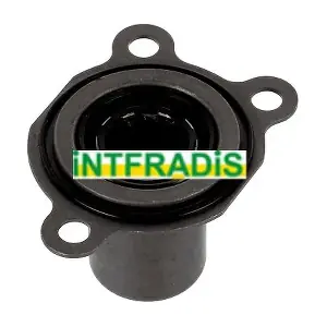 2480 INTFRADIS