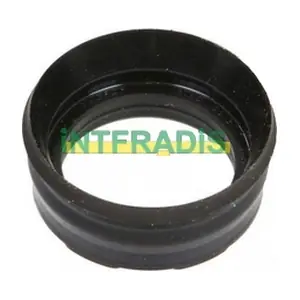 INTFRADIS 10601