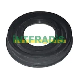 INTFRADIS 10622